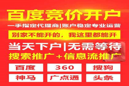 竞价端口开户全攻略，案例分析